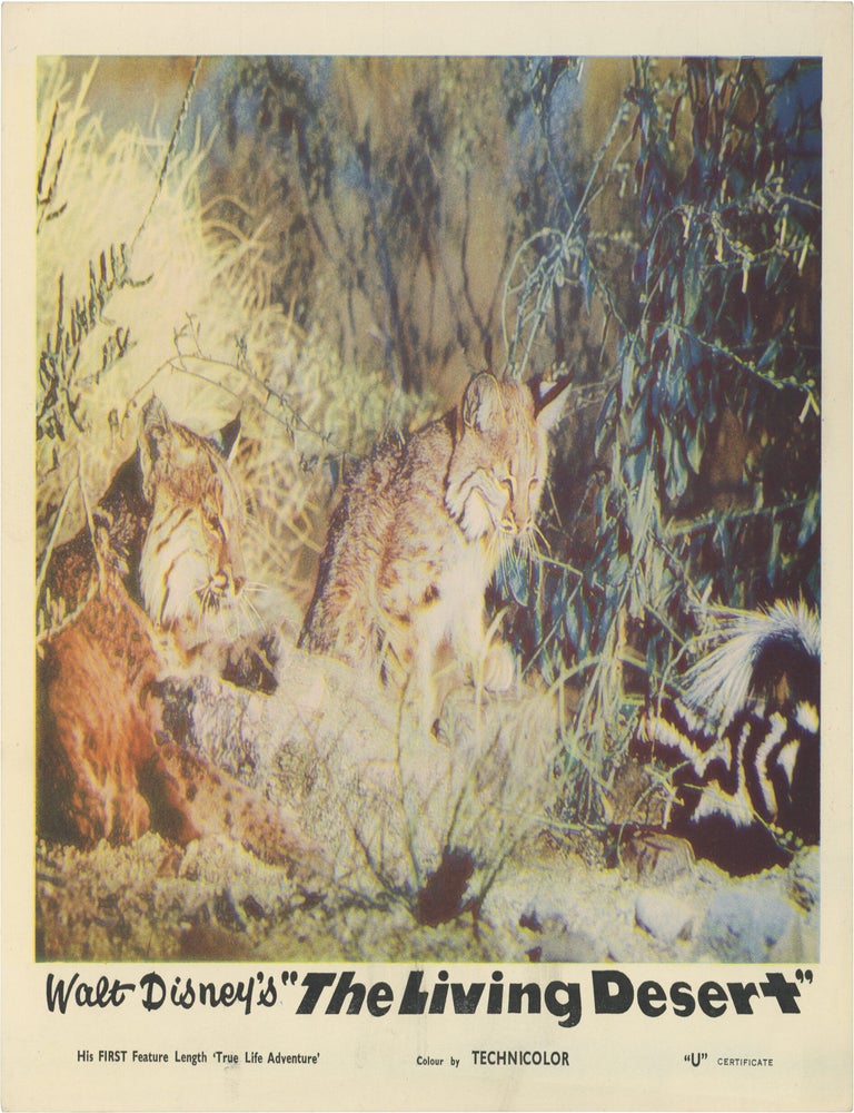 The Living Desert (Eight original British front-of-house cards from the 1953 Disney documentary film