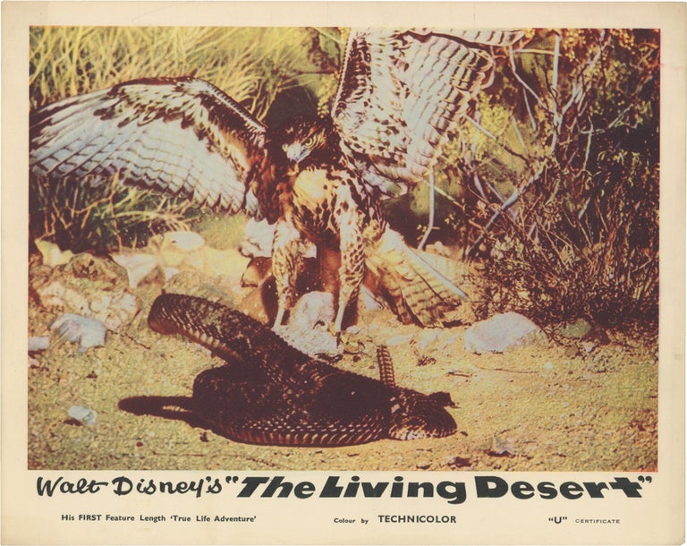 The Living Desert