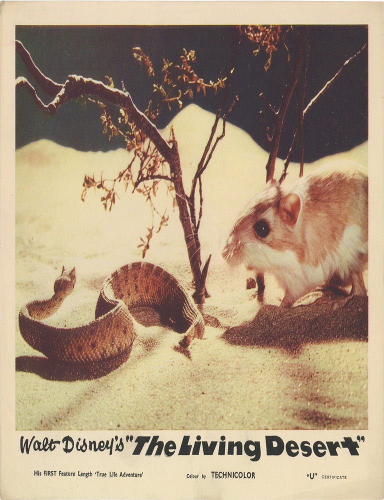 The Living Desert