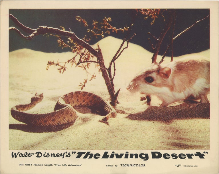 The Living Desert