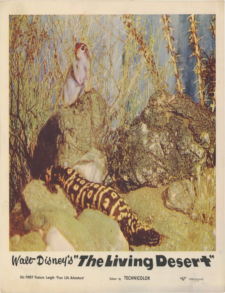 The Living Desert