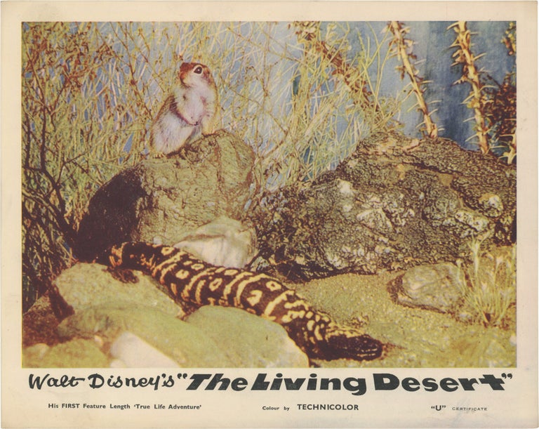 The Living Desert