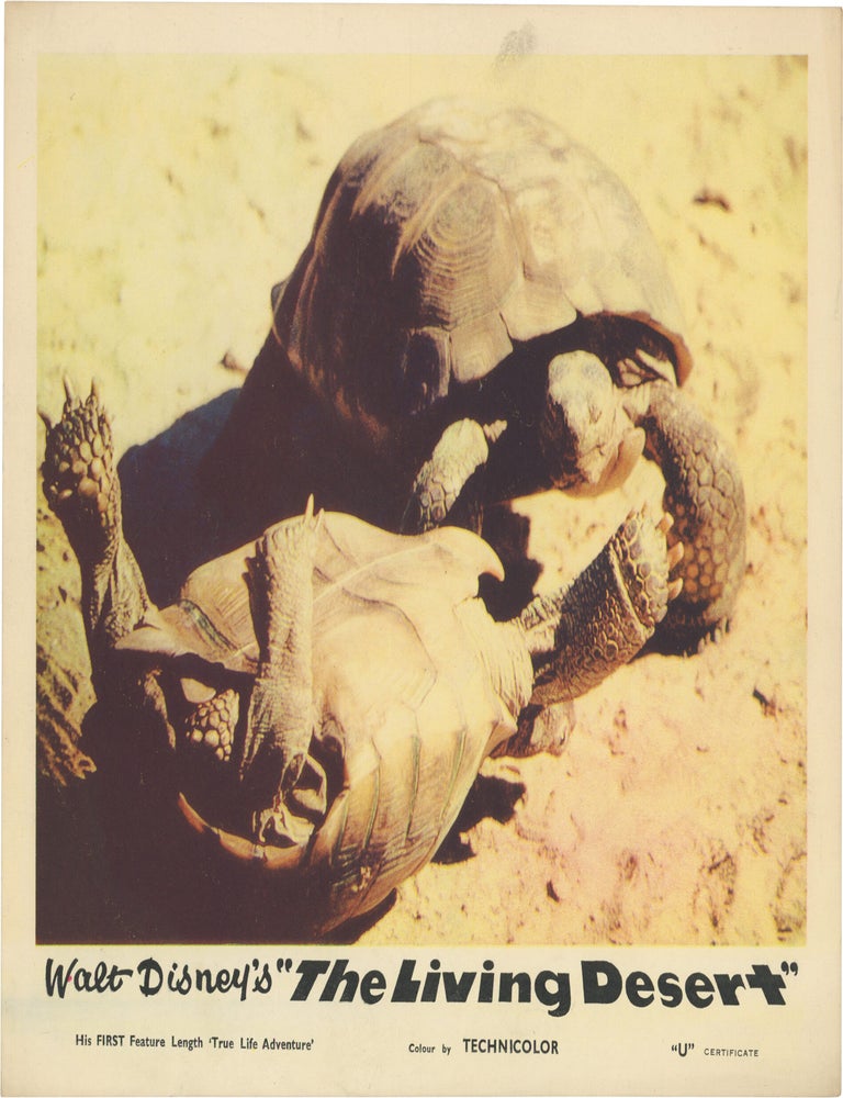 The Living Desert
