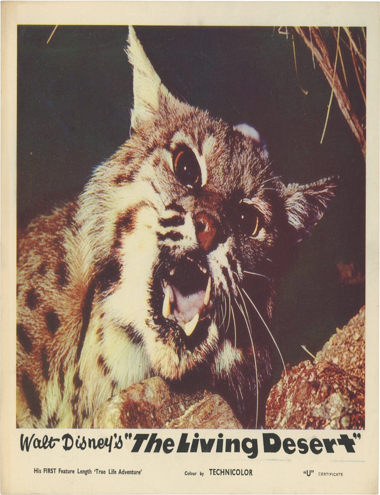 The Living Desert