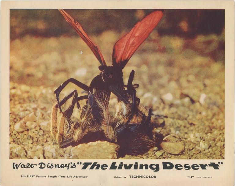 The Living Desert