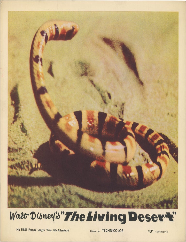 The Living Desert