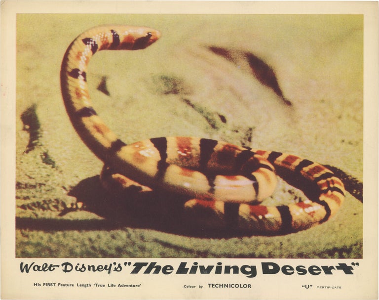 The Living Desert