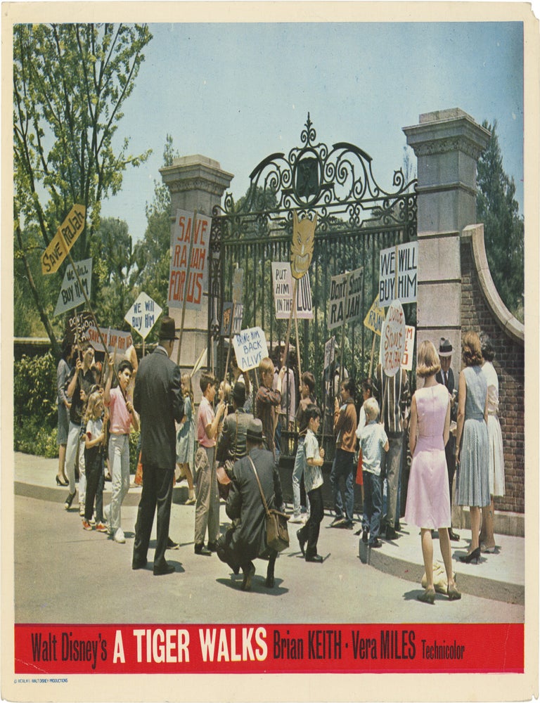 A Tiger Walks (Three original British front-of-house cards from the 1964 Disney film