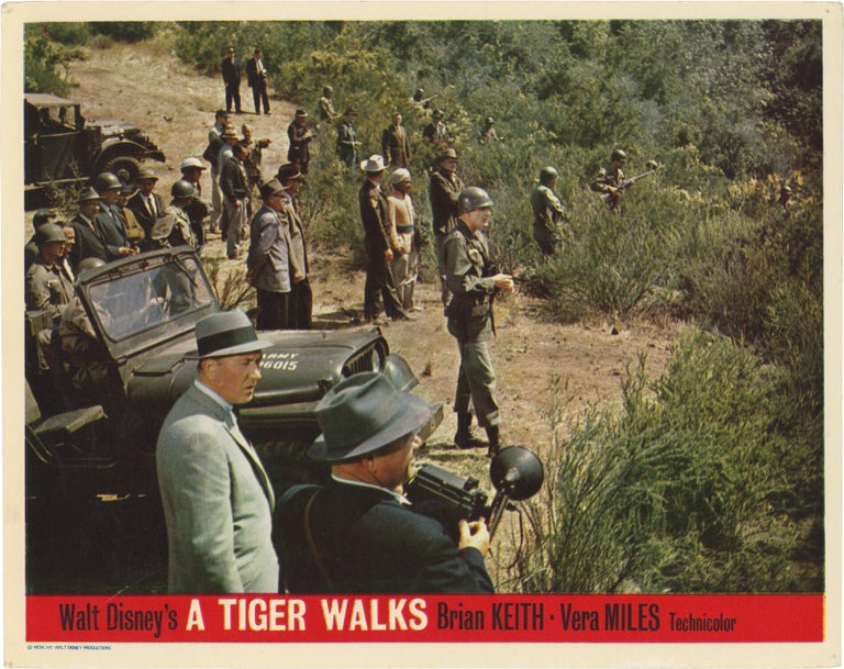 A Tiger Walks