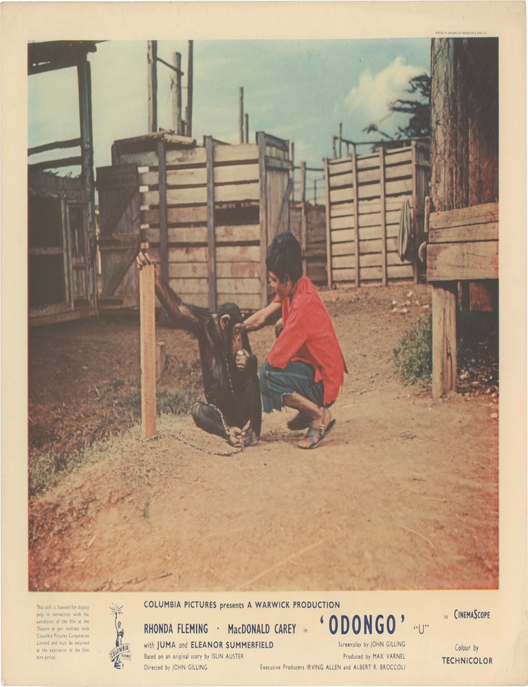 Book #173089] Odongo (Original British front-of-house card from the 1956 film). John Gilling,...