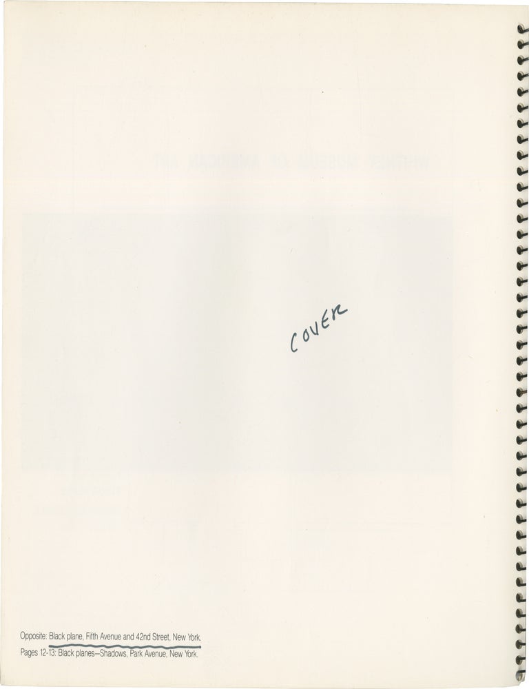 Robert Irwin