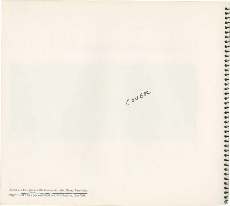 Robert Irwin